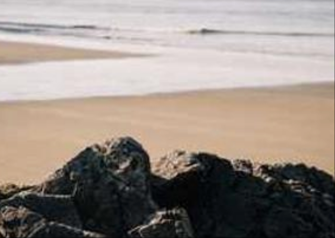 《数字时代的阅读革命》